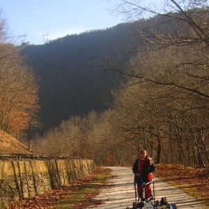 Meet your Posher, Elaine